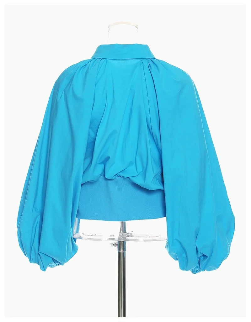 

Fashion Lantern Sleeve High Waist Women Blouse 2021 Spring Turn Down Collar Single Breasted Shirts Vintage Simple Blusas
