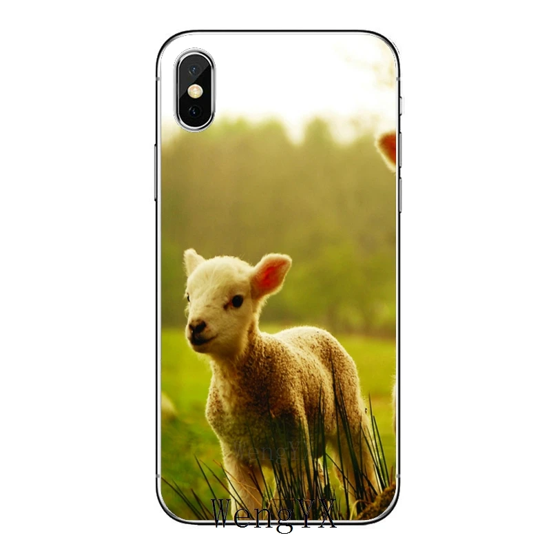 Мягкий силиконовый чехол для телефона с милой овечкой iPhone 11 Pro XS Max XR X 8 7 6 6S Plus 5 5S SE