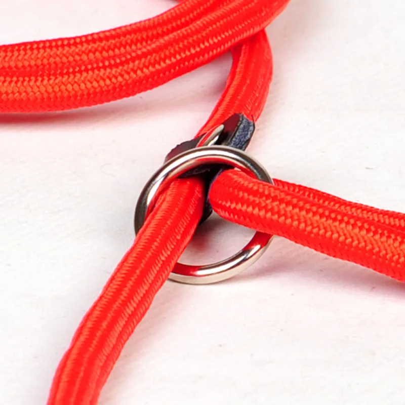 

Pet Products Golden Teddy Dog Traction Rope Chain Large Dog Collar P Dog Leash Comfortable Nylon Material 5Colors