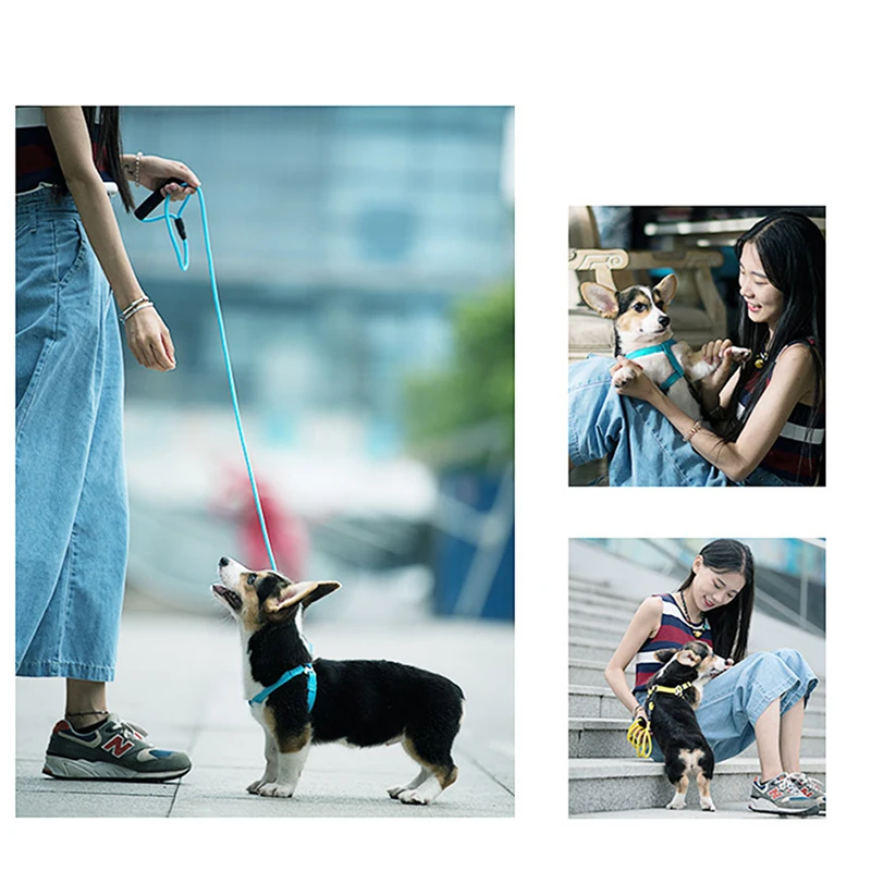 New Pet Dog Collars Traction Rope Supplies Chain Collar Chest Strap Harness Vest Adjustable Buckle Leash | Дом и сад