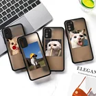 Чехол с кошкой и собакой для Xiaomi Redmi Note 10 Pro, жесткие чехлы, чехол для Xiaomi Redmi Note 10s, 9, 8 Pro, 9s, 7, Redmi 9A, 9C, K40, Note10, Note9, чехол