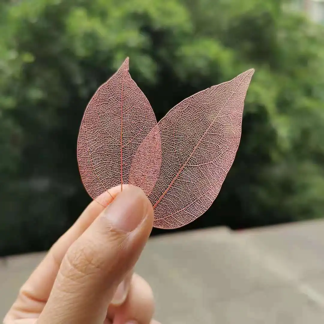 20 штук из натурального сенсорный сушеные Жилка листа лепестки растения DIY Свечи