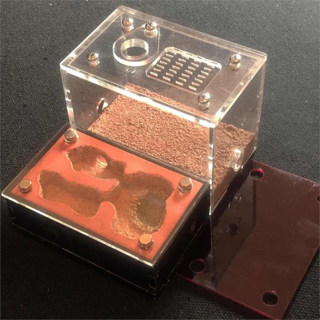 Увлажняющий светильник затеняющий Природный экологический муравьиный