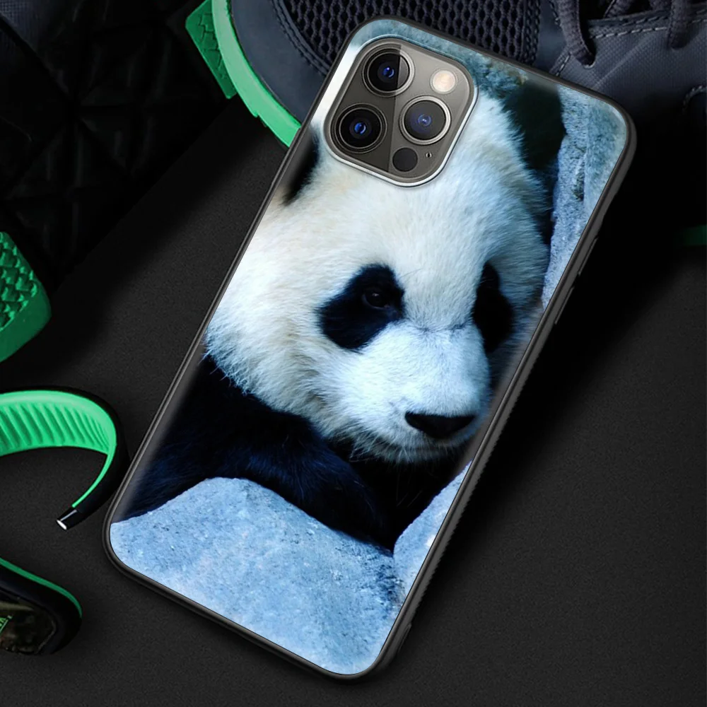 

Panda Luxury Silicone TPU Case for iPhone 12 11 Pro MAX 7 8 6 6S Plus XR X XS MAX SE 2020 Phone Coque Shell