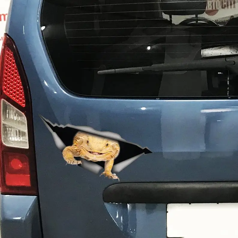

2021 Bearded dragon car decal, Beardie car decal, Bearded dragon magnet