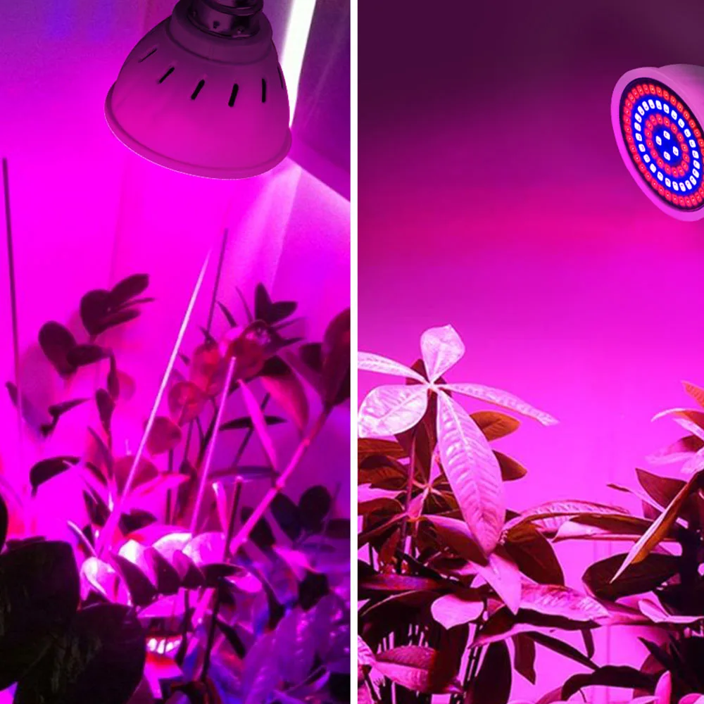 

Grow AC220V E27 E14 B22 GU10 PhytoLamp Fitolampy