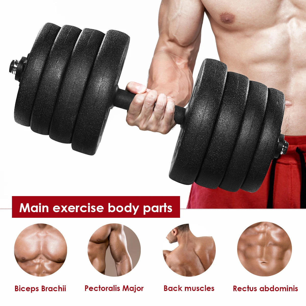 

in stock 30kg Dumbbell Weight Set Adjustable Solid Fitness Dumbbell Set Dumbbells Gym Exercise Muscle Training for Drop Shipping