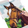 HUACAN Diamond Painting Full Square Horse Diamond Embroidery Animal Picture 5D Diy Mosaic Rhinestone Home Decoration 2