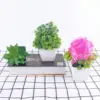 Mini Artificial Aloe Plants Bonsai Small Simulated Tree Pot Plants Fake Flowers Office Table Potted Ornaments Home Garden Decor 3