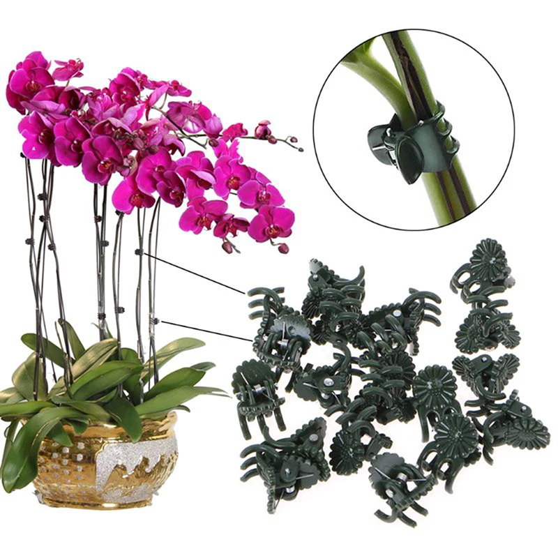 

20Pc Plastic garden clip Special clip for Phalaenopsis Graft clip Plant vine clip Orchid Stem Vine Support Bundle Gardening Tool