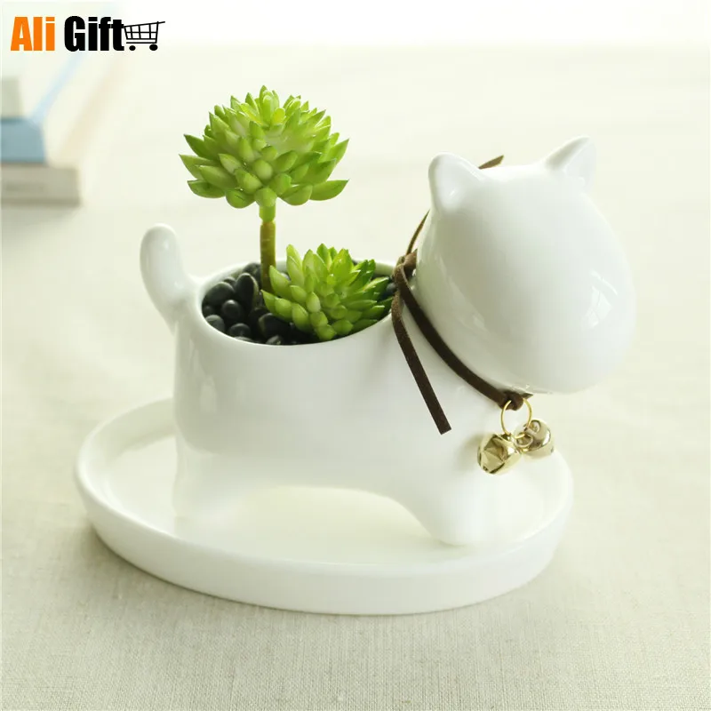 Горшок Кашпо для суккулентов белый керамический горшок растений|meat body|meat factoryflower