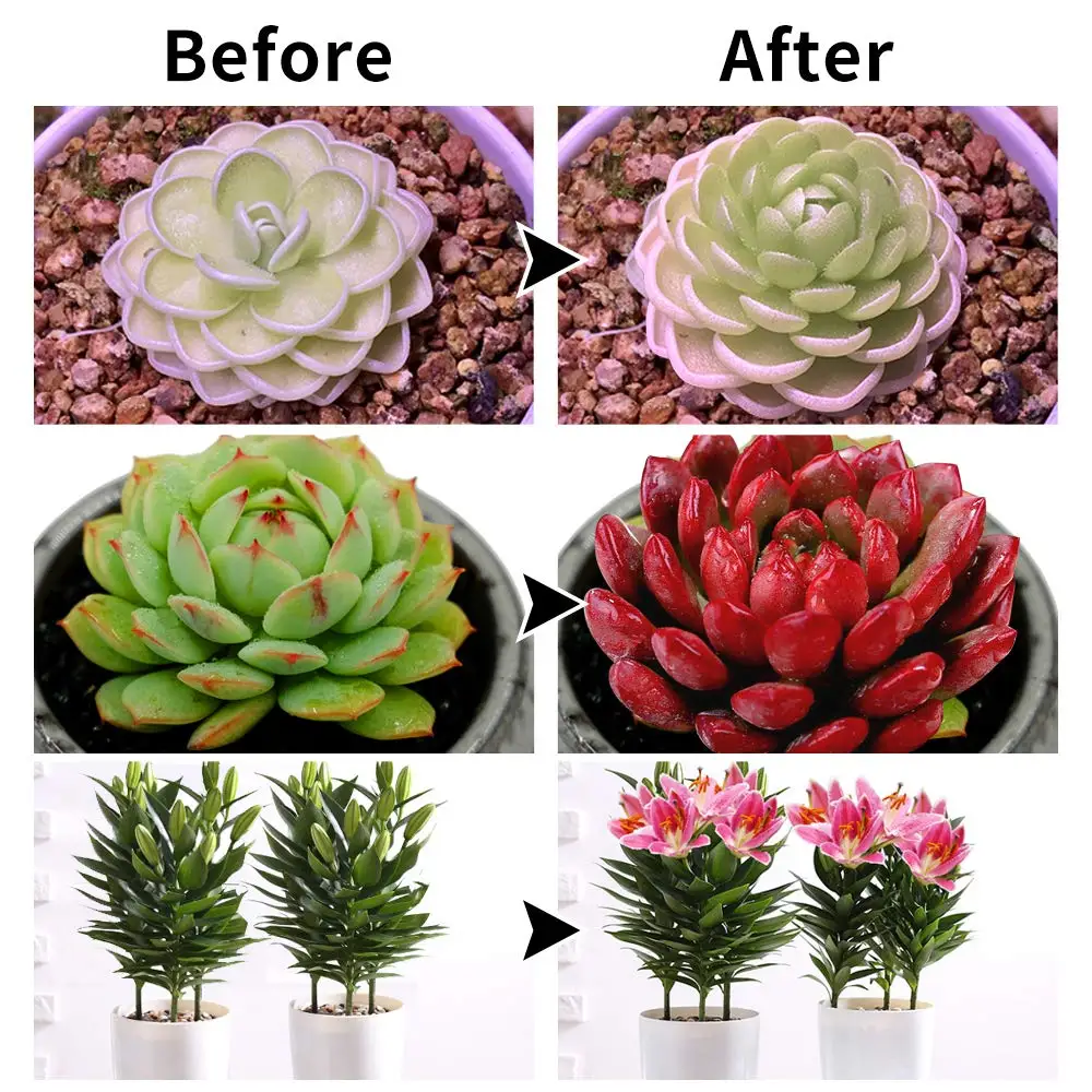 

Litwod Z40 LED Plant Grow Light Head Lamp Timing Function Dimmable for Flower Indoor 30W Triple 3 LED Bulbs Button Switch 1 Year