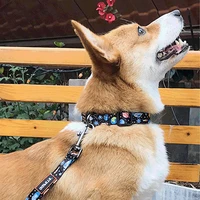 dog collar cat chest strap traction rope cat necklace cat paw print adjustable collar pet collar pet accessories dog supplies