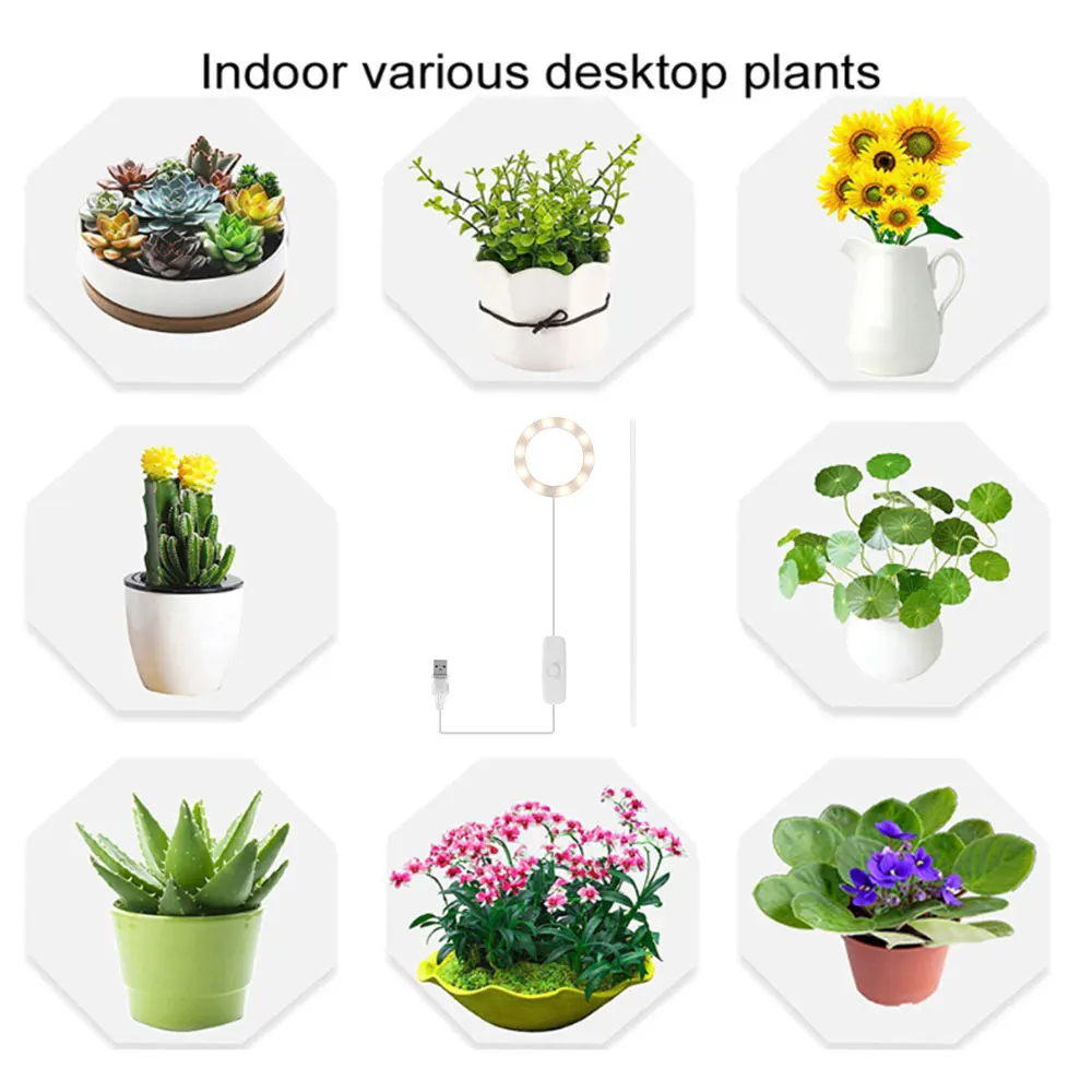 

LED Grow Light Full Spectrum Phyto Grow Lamp USB Phytolamp For Plants 5V Lamp For Plants Growth Lighting For Indoor Plant