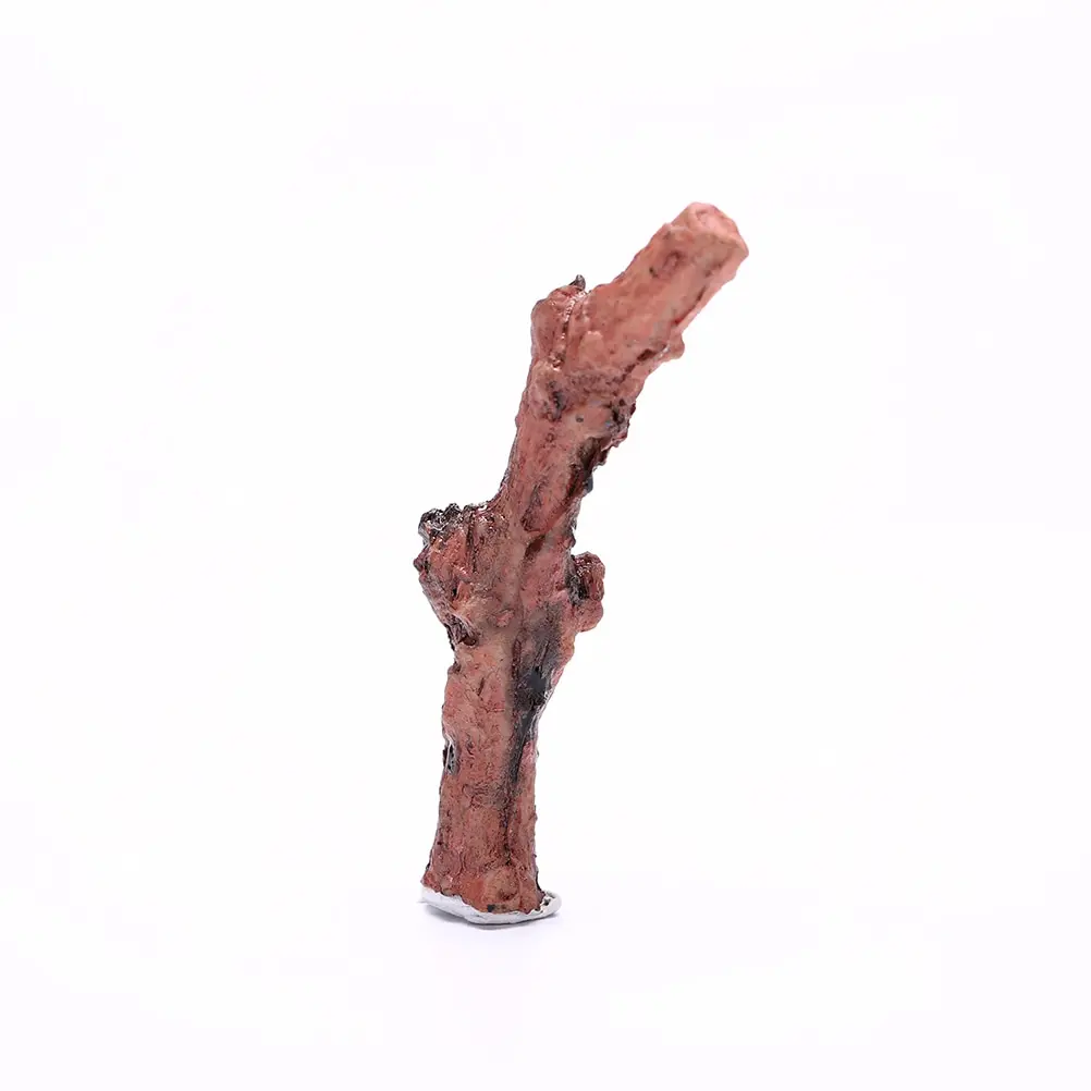 Сухие ветки деревьев ствол суккуленты микро-ландшафтный декор сделай сам