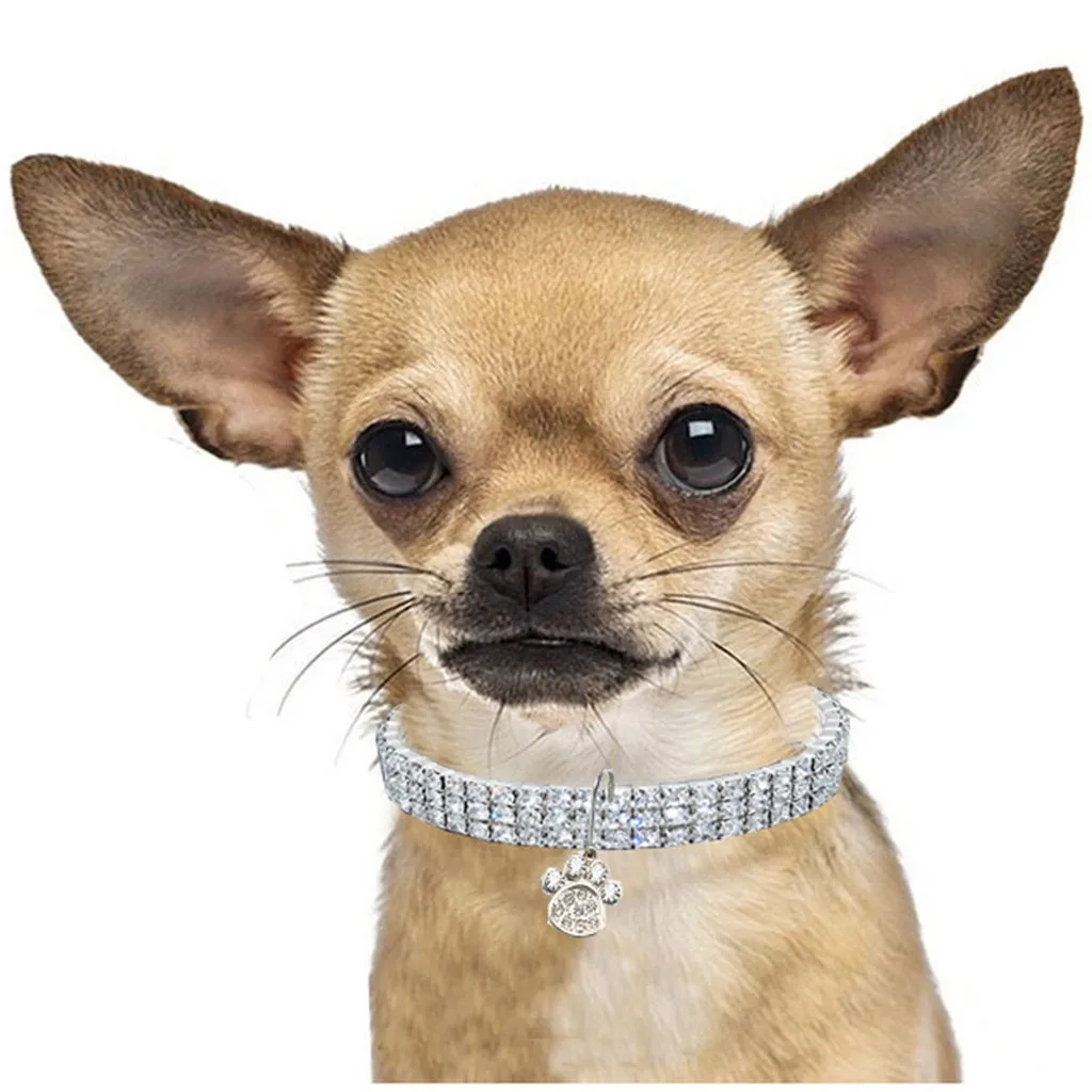 

Pet Dog Collar Perro Mini Pet Dog Bling Chocker Collars Dog Footprint Rhinestone Necklace Coleira Para Cachorro Pet Dogs