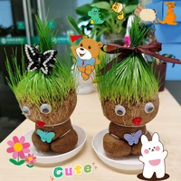 the head grows grass doll potted kindergarten to observe the growth of hydroponic planting plants toys for children
