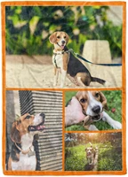 personalized throw blanket custom blanket with 1 9 photo collages customized blankets for family friends dogs or pets