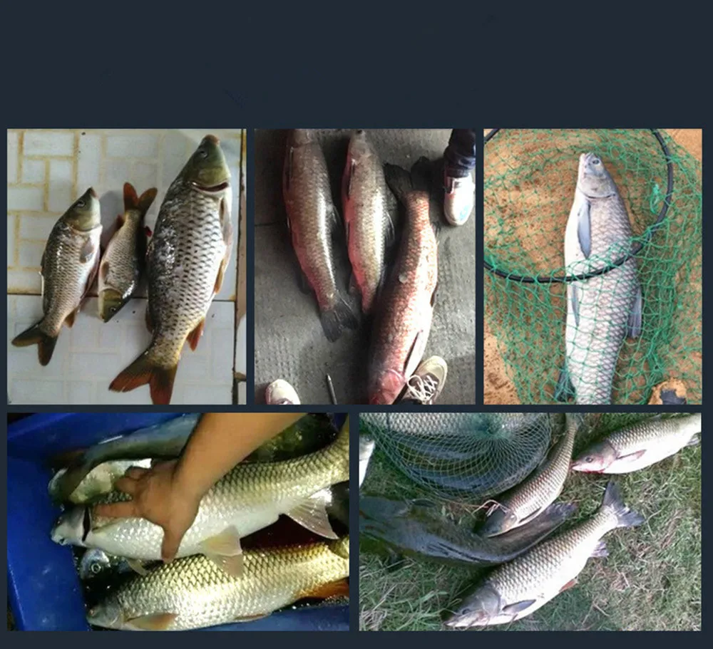 

15pcs/set Fishing Float Light Stick Vertical Buoys Marine Fishing Buoys Fishing Aquarium Fish Fishing Float Fishing Accessories