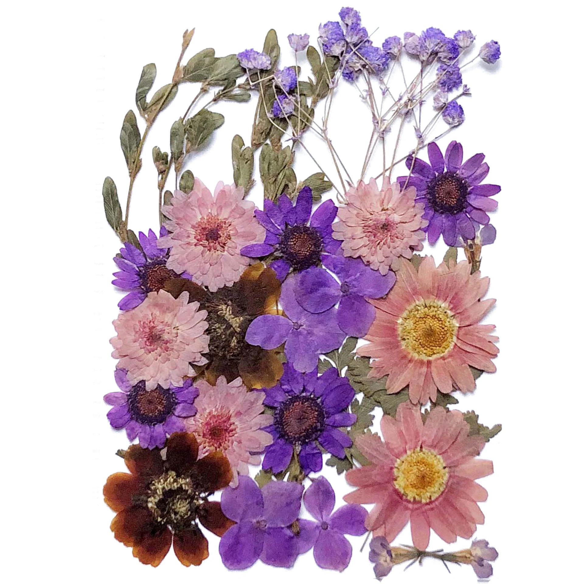 

DIY Dried Flowers Resin Mold Fillings UV Expoxy Flower for Nail Art Pressed Flowers for Home Decor Handicraft