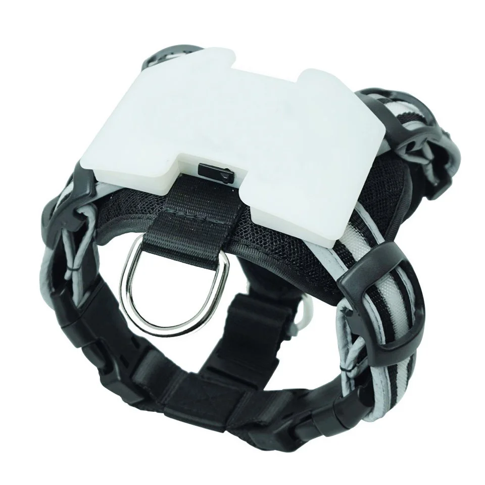 

Good cc simon Design Pet Dog LED Flash Collars Light Colorful Blinker Safety Flashing Collar