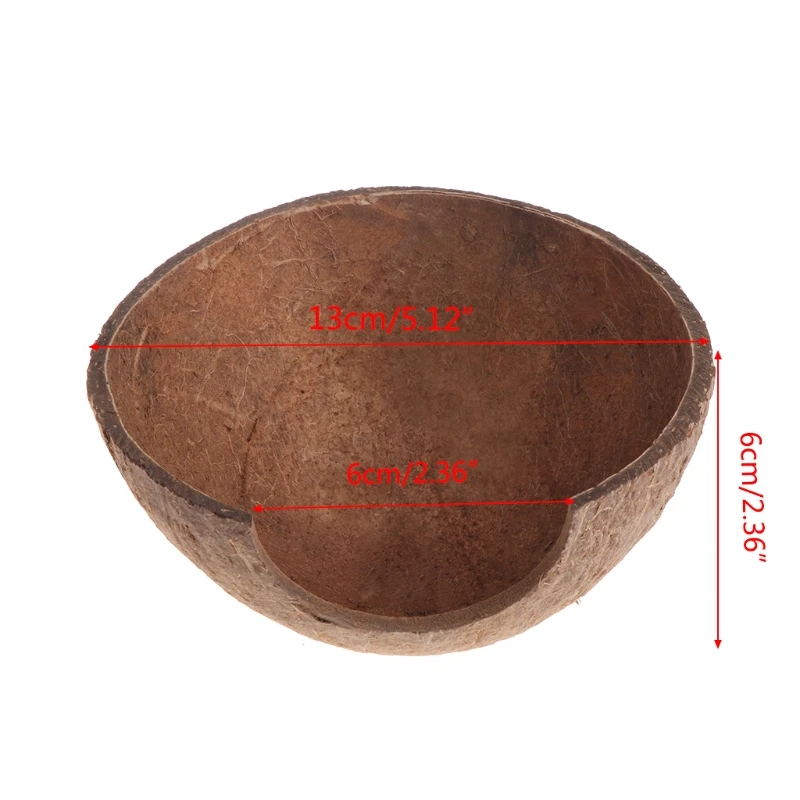 2020 новые рептилии спрятать среду обитания натуральный кокосовый скорлупа