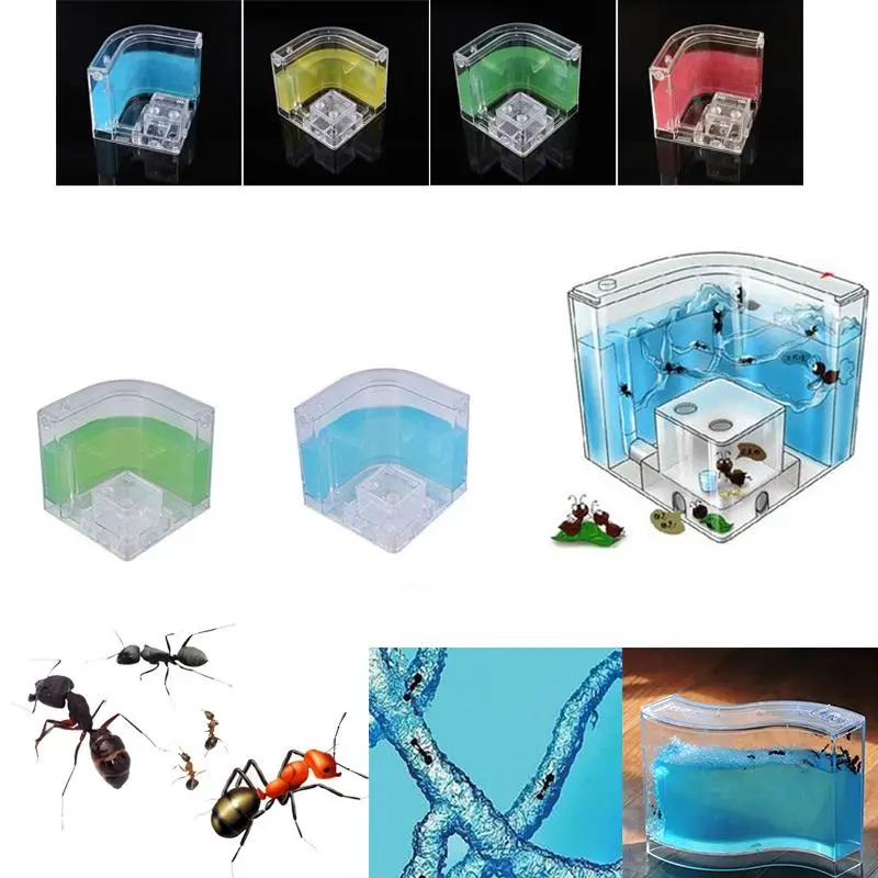 

Pet Products
