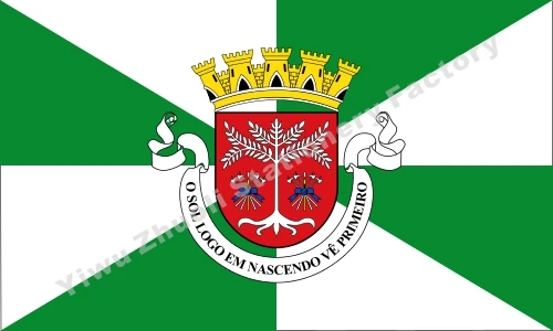 

Portugal Bandeira Dili 1952-1975 Propostas Flag 3X5FT 90X150CM 100D Polyester Double Stitched High Quality Banner