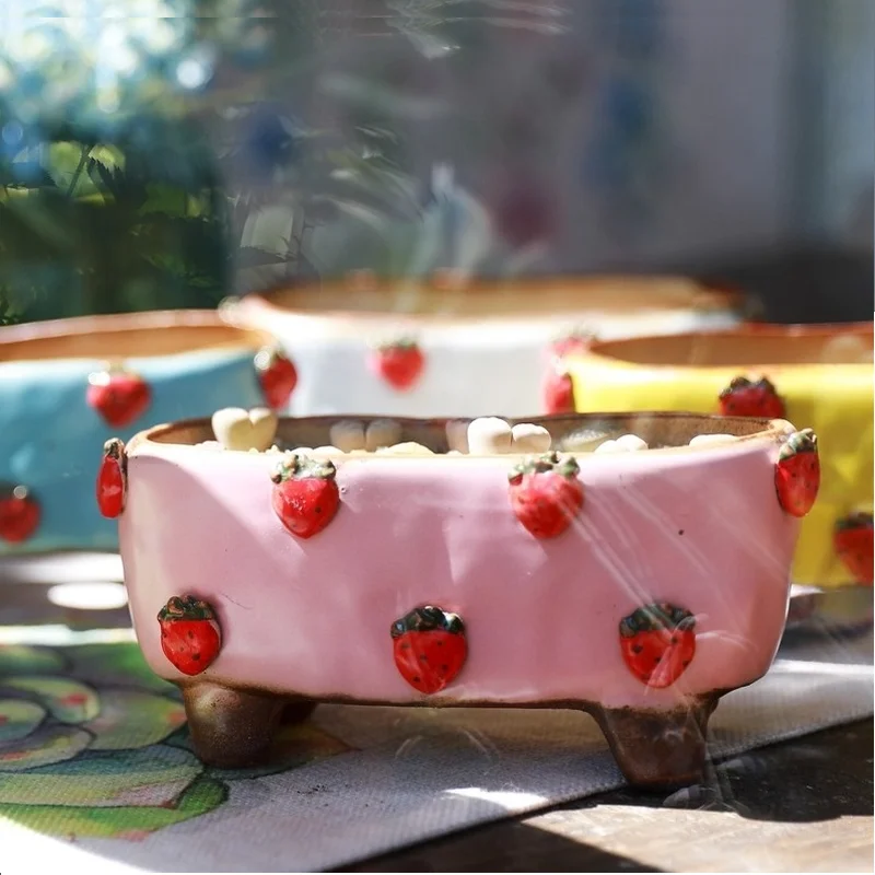 Прекрасная Клубничная грубая керамика многомясовое растение горшечный камень