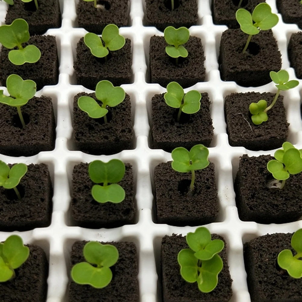 

20pcs Nursery Block Hydroponic Vegetable Seedling Soilless Cultivation Seedling Block Nursery Substrate Blocks
