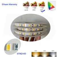 12v 24v white led strip lights high cri 90 seoul led 5630 5m per roll no waterproof