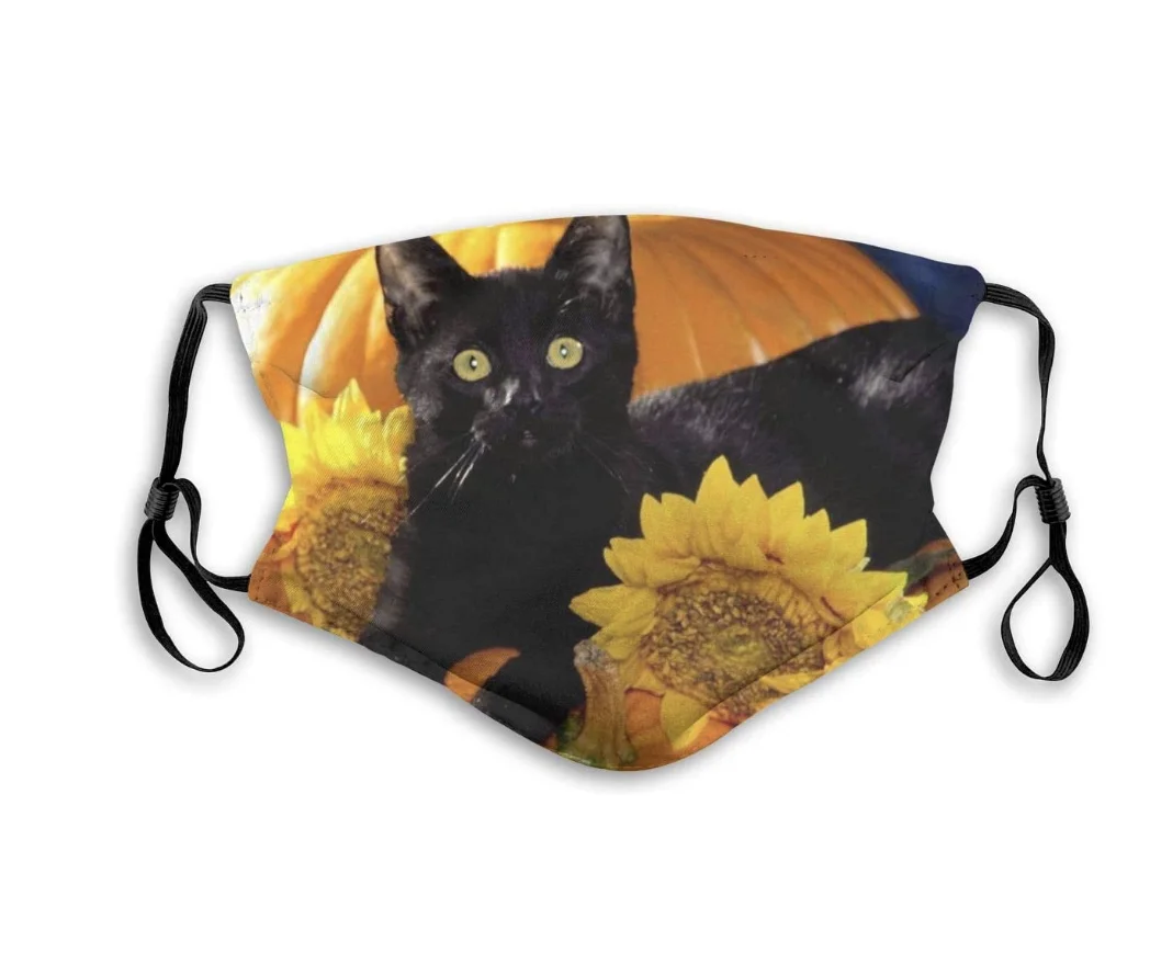 

Funny Pumpkin Black Cat Mouth Covering Washable Reusable Fabric Face Mask with Filter