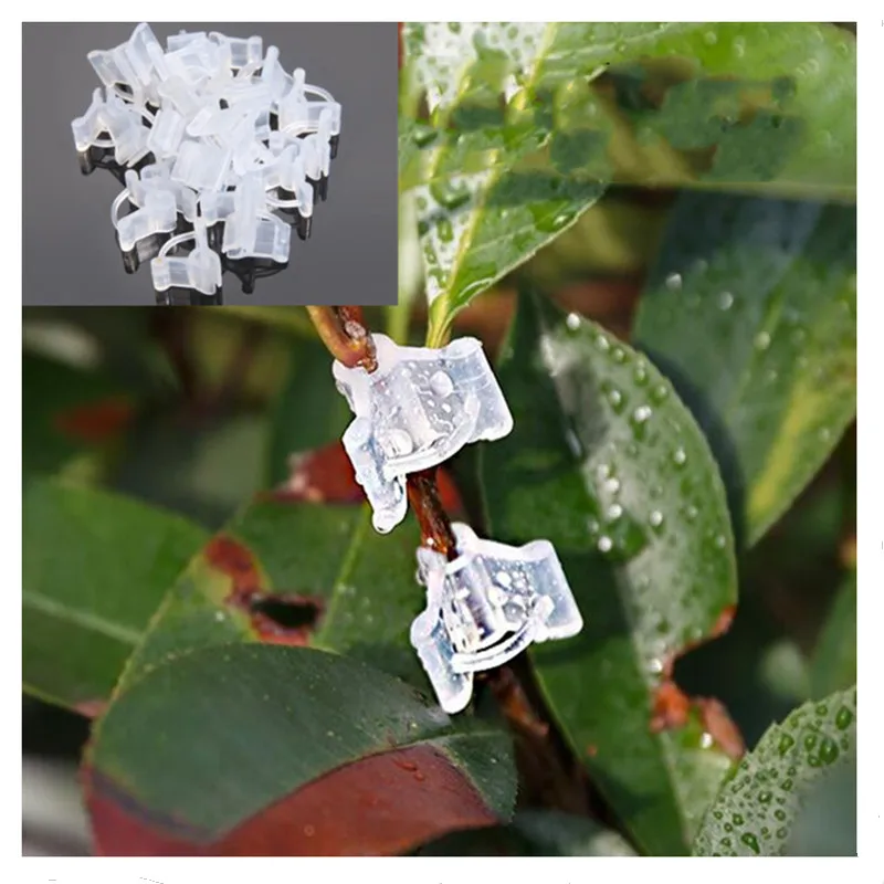 

Пластиковые зажимы для прививки растений, прозрачные зажимы для прививки овощей, цветов, растений, соединяющие зажимы для прививки семян ви...