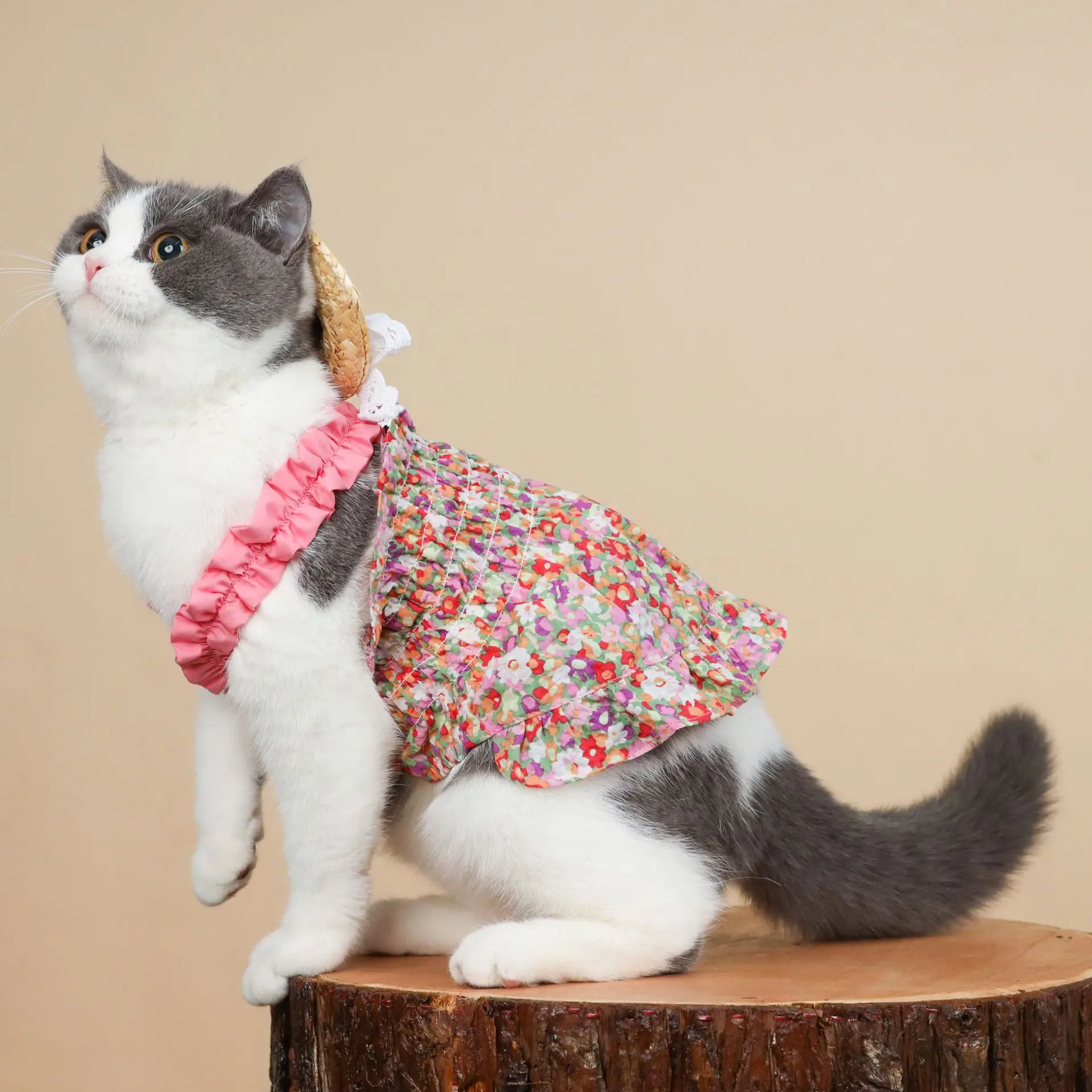 

Spring Summer Thin Section South Korea Ins Pet Dog Cat Clothes Summer Prevent Dropping Puppets Blue Sleeveless White Skirt With