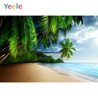 summer holiday background tropical scenery backdrop beach palm tree photography custom photographic background for photo studio
