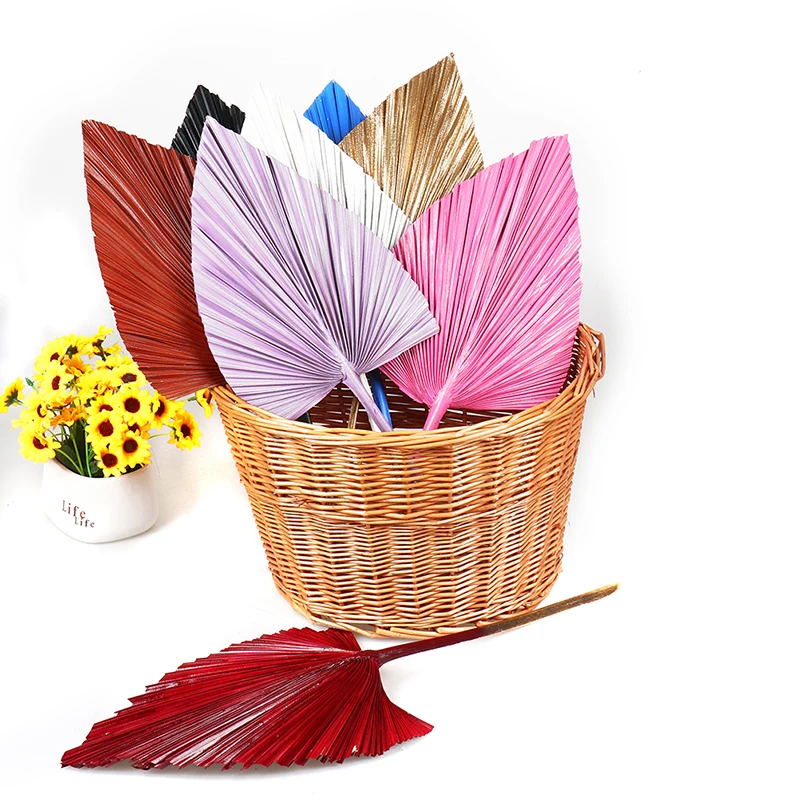 

Palm Fan Leaf Window Reception Party Art Wall Hanging Wedding Fan Leaf Dried Flower Decoration Modeling Design