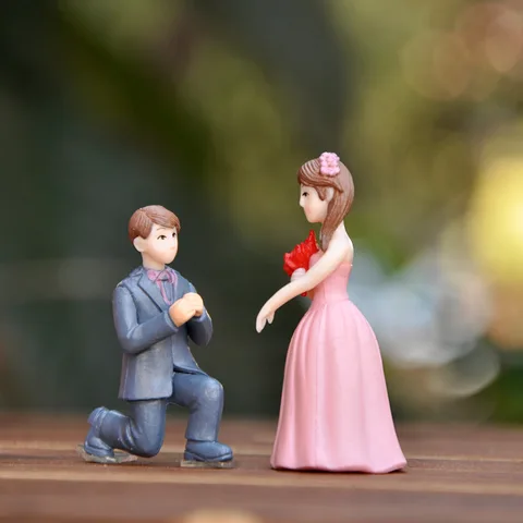 Предложение на свадьбу, искусственные миниатюры для пар, статуэтки невесты и жениха, подарок «сделай сам», украшение для свадебной вечеринки, благословение