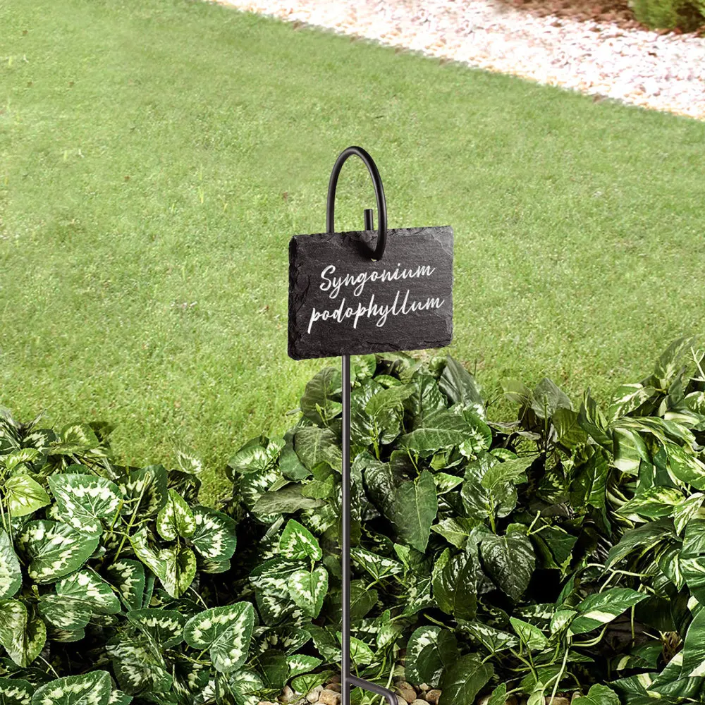 

HOMEMAXS 5pcs/pack Slate Plant Labels with Stakes Planting Sign Flower Tags Rods for Greenhouse Backyard Garden Farm (Black)