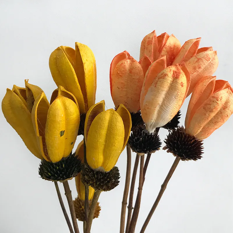 

Tulip Flower Dried Bouquet 2021 Nordic Style Multicolor Handmade Sticky Accessories Birthday Bedroom Home Party Decoration 5pcs