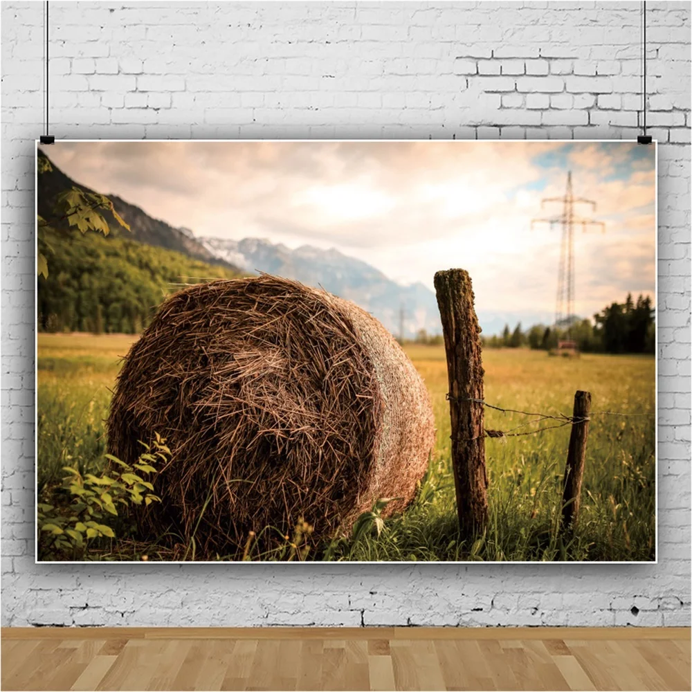 Laeacco пейзаж фотосессия дерево Пшеница стек Декор фотографии фоны