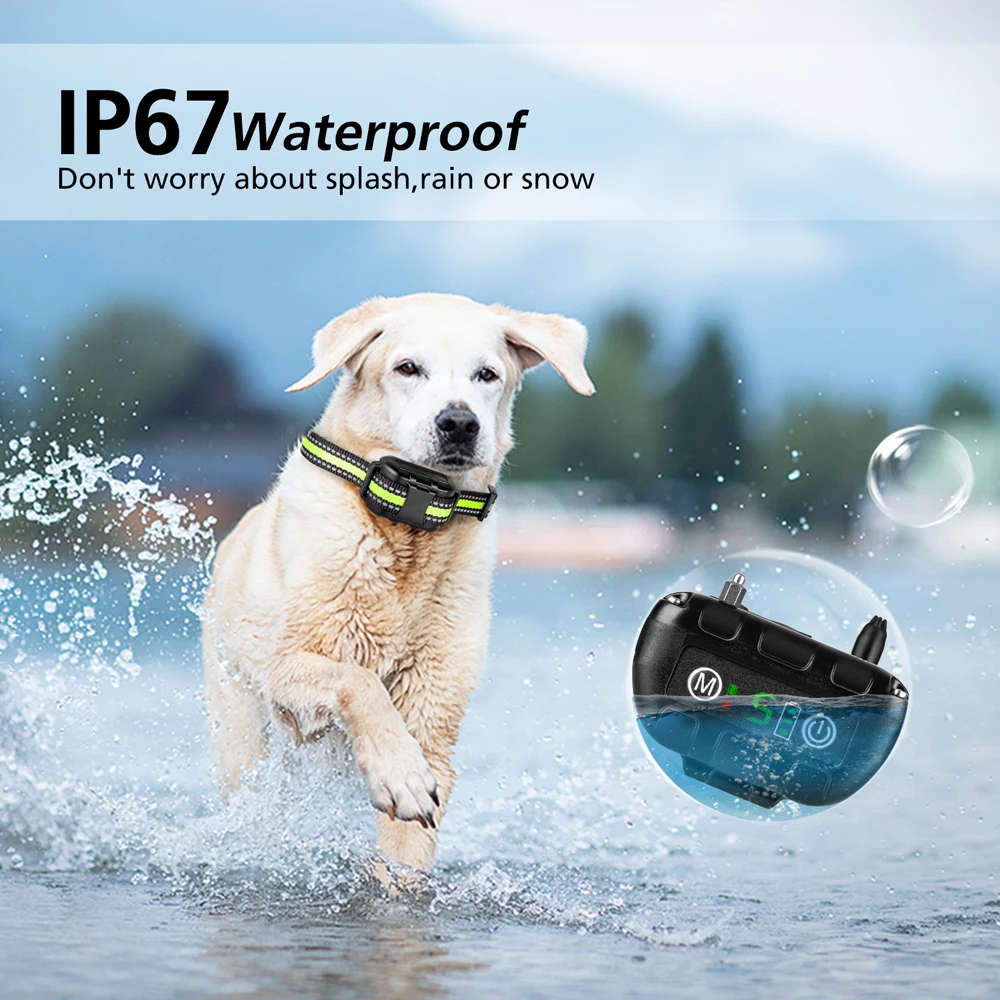 

Pet Products
