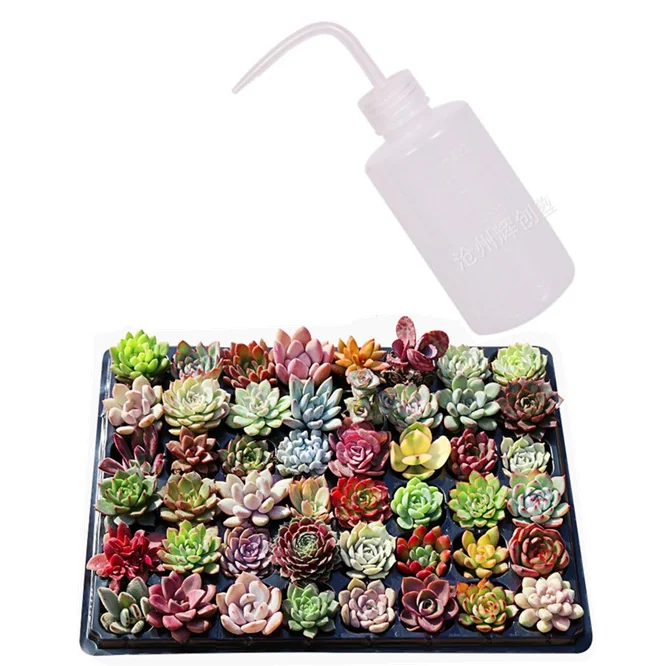 

5Pcs/lot 150ML Water Beak Pouring Kettle Tool Succulents Plant Flower Watering Can Squeeze Bottles With Long Nozzle Beak Dropper