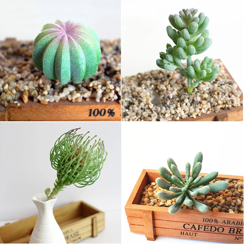 Искусственные мясистые растения Цветочные Мини листва садовый декор