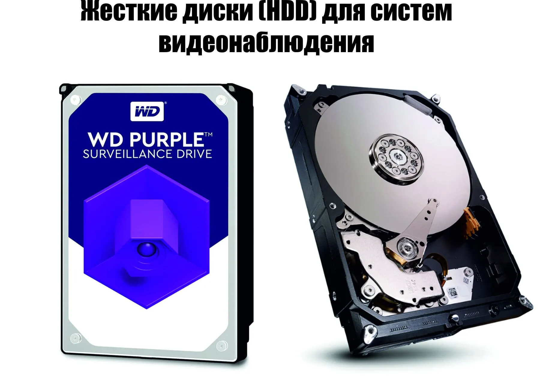жесткий диск wd40purx 4 тб. Western digital purple wd40purz 4tb. жесткий диск wd wd40purx. жесткий диск wd40purx 4 тб. Wd40purx-78.