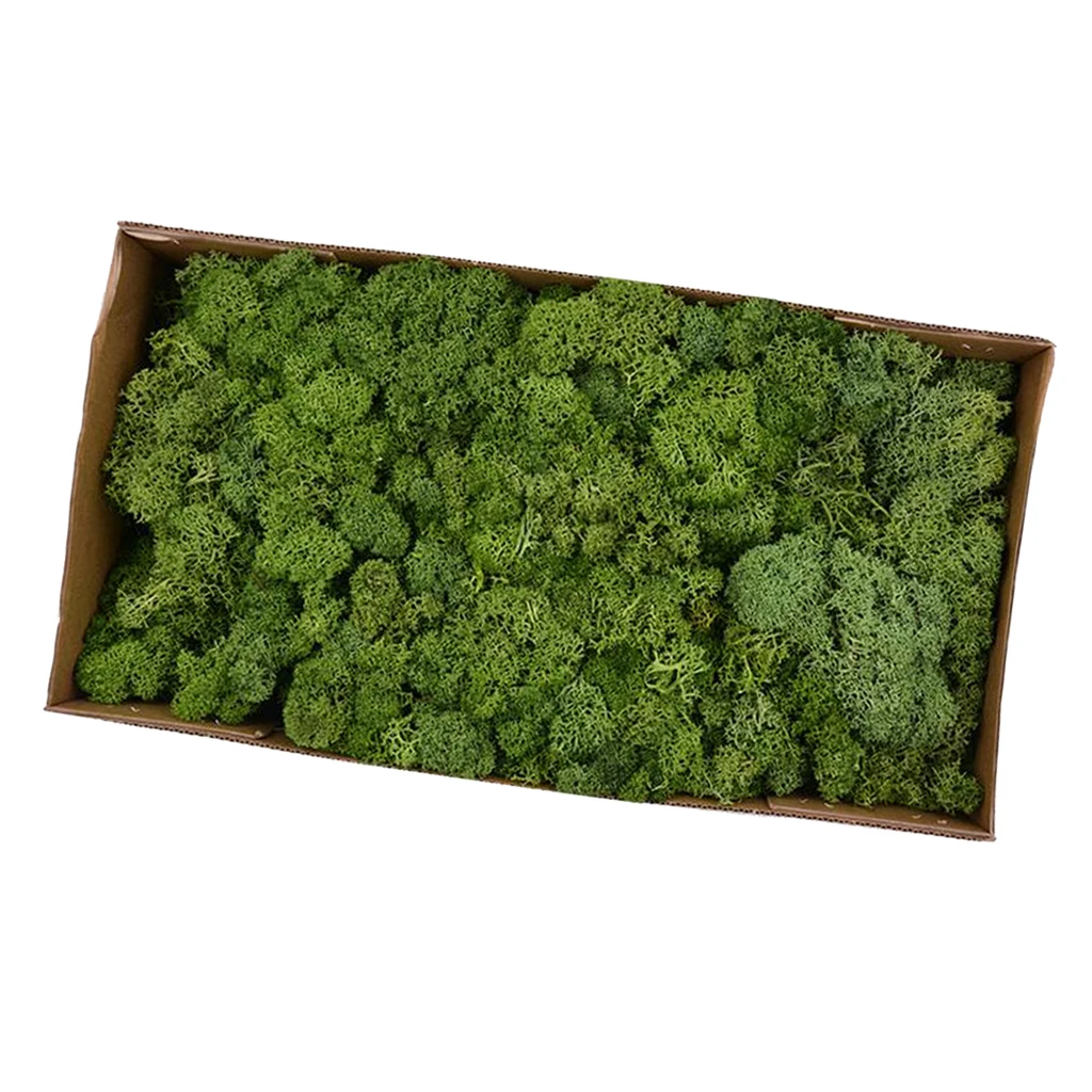 Натуральный Норский олень мох сохраняемый сушеный цветок для цветов трава