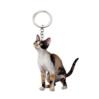 donskoy cat keychain new pet cats flat not 3d small keychains animal men cute charm bag drop charms gift women chain miss pets