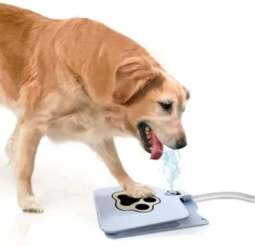 

Automatic Pet Drinking Fountain Step On Toy Outdoor Joy Dog Drinking