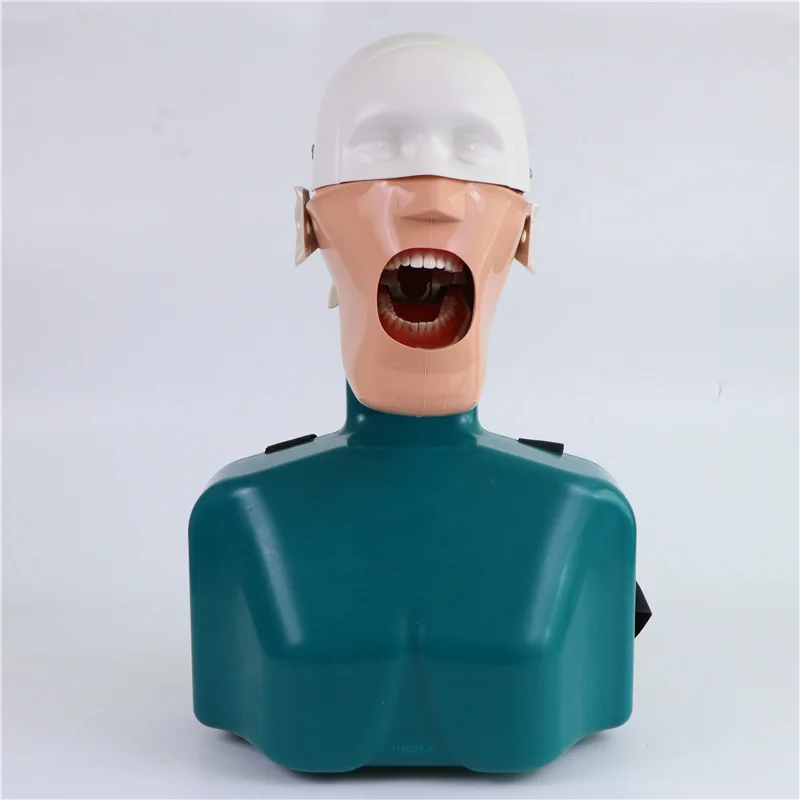 Модель для обучения стоматологии тренировочный симулятор муляж