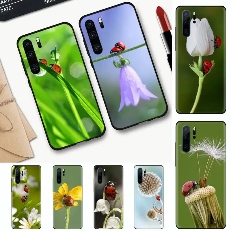 

four leaf ladybug daisy Phone Case For Huawei honor Mate mate P 10 9X 10i 20 30 40 y7 nova 5t lite pro p smart 2019