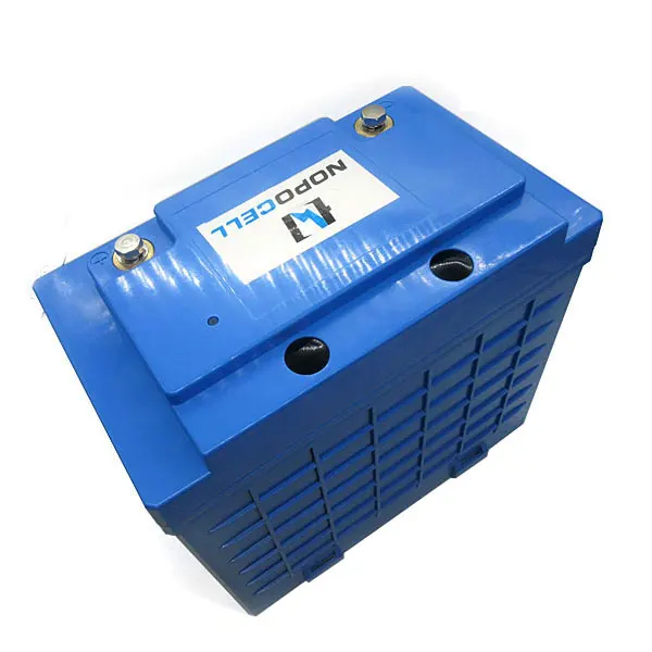 

Deep cycle lithium ion battery 12v 100ah lifepo4 battery pack for caravan /solar system